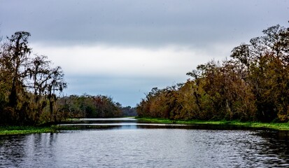 autumn landscape with river