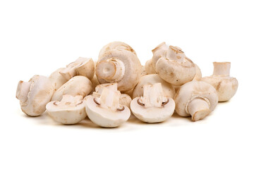 Champignons, close-up, isolated on white background.
