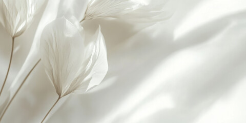 A smooth white background with wispy, delicate lines that form subtle abstract shapes like clouds or mist. This ethereal design adds an air of sophistication and grace, perfect for fashion branding,