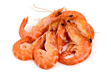Shrimps, king prawns, isolated on white background.