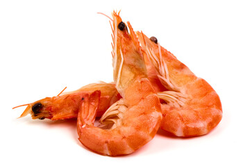 Shrimp. Fresh raw shrimps, isolated on white background.