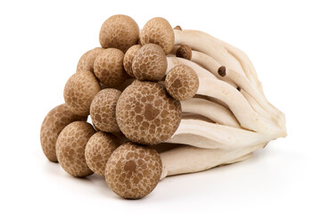 Fresh Brown Beech Mushrooms, Isolated on White Background.