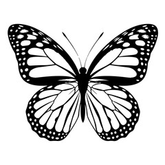 Intricate Butterfly Vector – Detailed Monarch Wings Illustration
