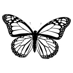 Intricate Butterfly Vector – Detailed Monarch Wings Illustration