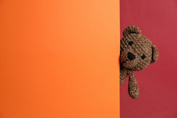 Cute toy bear peeking out of blank card on red background. Space for text
