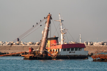 The rusted metal hull of a ship, small micro-organisms adhering to the bottom of the ship,...
