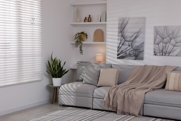 Comfortable sofa, houseplants and decorative elements in living room. Interior design