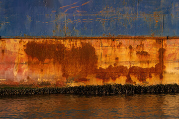 The rusted metal hull of a ship, small micro-organisms adhering to the bottom of the ship,...
