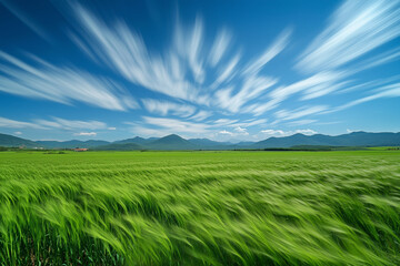 Obraz premium Green meadow with blue sky