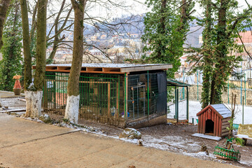 A small wooden house with a dog house and a chicken coop © Iurii Gagarin