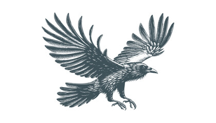 crow vector, raven vector