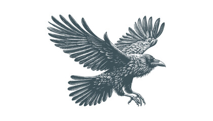 crow vector, raven vector