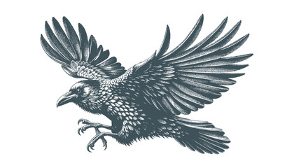 crow vector, raven vector