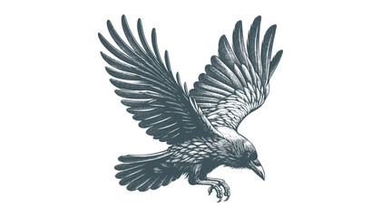 crow vector, raven vector