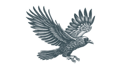 crow vector, raven vector