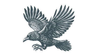 Obraz premium crow vector, raven vector