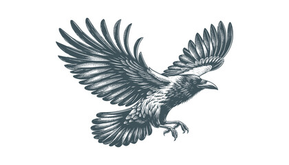 crow vector, raven vector