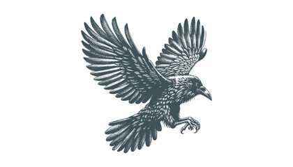 crow vector, raven vector