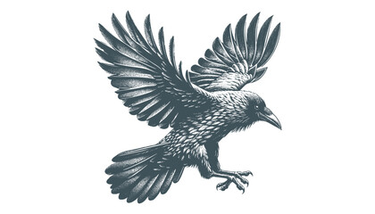 crow vector, raven vector