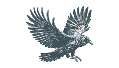 crow vector, raven vector