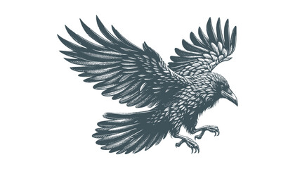 crow vector, raven vector