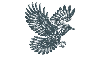 Obraz premium crow vector, raven vector