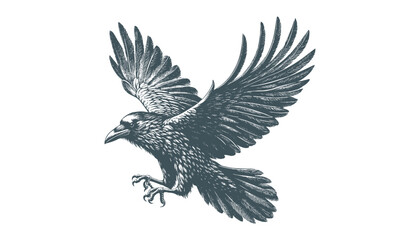 crow vector, raven vector