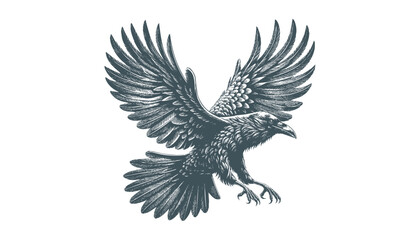 Fototapeta premium crow vector, raven vector