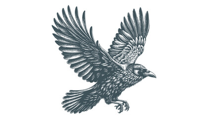 crow vector, raven vector