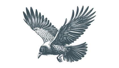 crow vector, raven vector