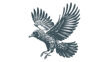 crow vector, raven vector