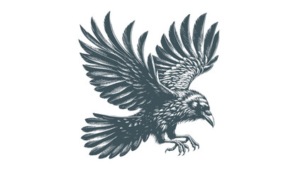 crow vector, raven vector