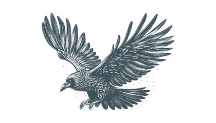 Obraz premium crow vector, raven vector