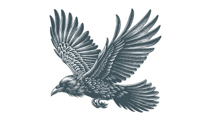 crow vector, raven vector