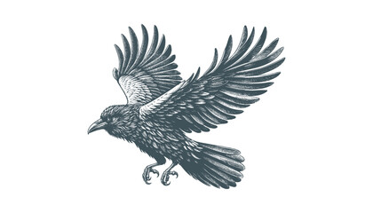 Fototapeta premium crow vector, raven vector