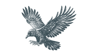 crow vector, raven vector