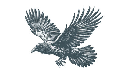 crow vector, raven vector