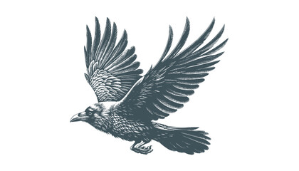 Fototapeta premium crow vector, raven vector
