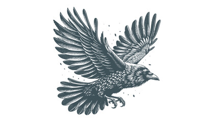 Fototapeta premium crow vector, raven vector