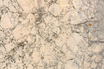 Textured cracked concrete surface with weathered patterns