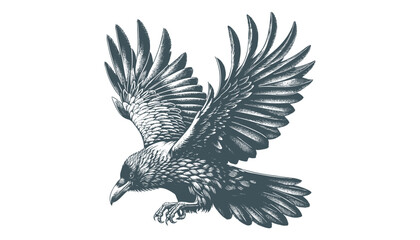 crow vector, raven vector