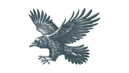 Obraz premium crow vector, raven vector