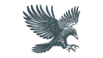 Obraz premium crow vector, raven vector