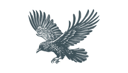 crow vector, raven vector