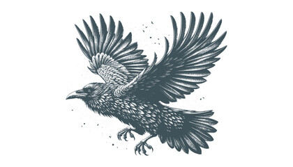 crow vector, raven vector