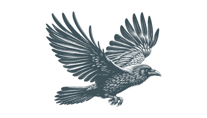 crow vector, raven vector