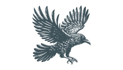 crow vector, raven vector