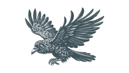 crow vector, raven vector
