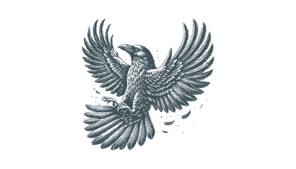 crow vector, raven vector