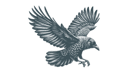 crow vector, raven vector